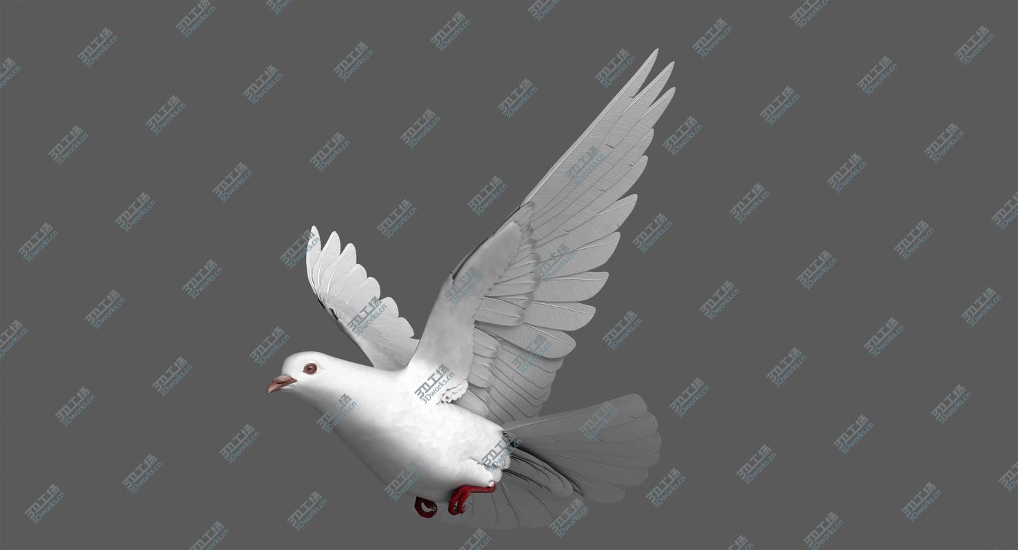 images/goods_img/20210319/White Dove model/2.jpg